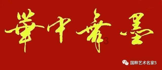 探索这男的帅吗?,了解知识星球平台的魅力